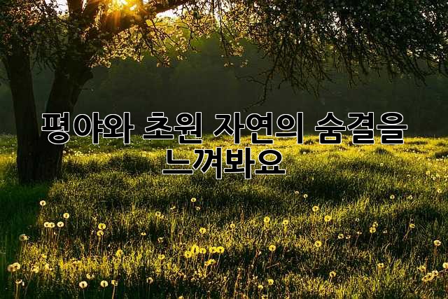 평야와 초원: 자연의 숨결을 느껴봐요!