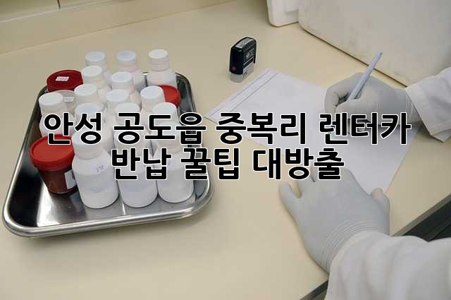 안성 공도읍 중복리 렌터카 반납, 꿀팁 대방출!