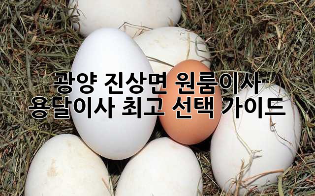 광양 진상면 원룸이사? 용달이사 최고 선택 가이드!