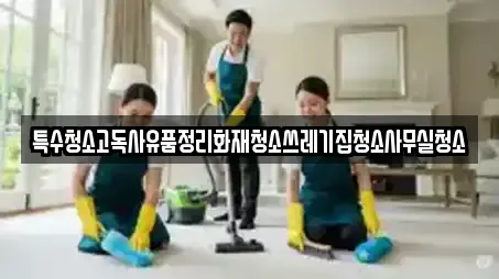 특수청소고독사유품정리화재청소쓰레기집청소사무실청소