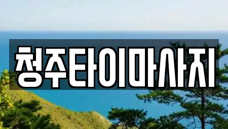 충북 청주시 서원구 분평동 가까운 에스테틱,산후조리원,한의원,산부인과,피부과 20