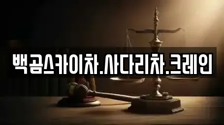 백곰스카이차.사다리차.크레인