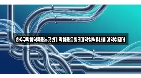 하수구막힘역류뚫는곳변기막힘뚫음싱크대막힘역류내시경악취제거