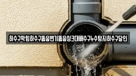 하수구막힘하수구뚫음변기뚫음싱크대배수구누수탐지하수구달인