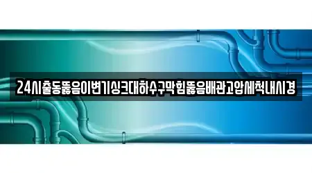 전라남도 대성동 싱크대뚫음,변기뚫음,하수구뚫음,누수,하수구막힘 전문 업체 안내 11건