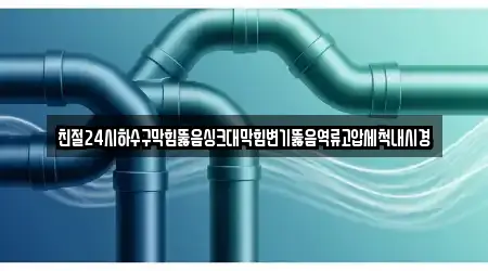 친절24시하수구막힘뚫음싱크대막힘변기뚫음역류고압세척내시경