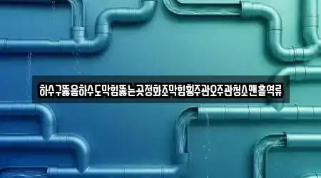 하수구뚫음하수도막힘뚫는곳정화조막힘횡주관오주관청소맨홀역류