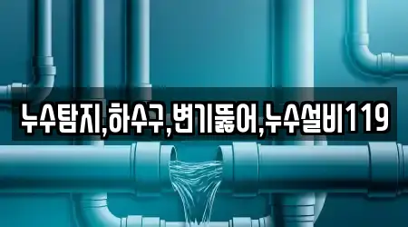 누수탐지,하수구,변기뚫어,누수설비119