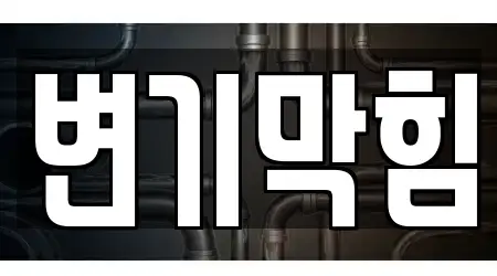 변기막힘 16곳 제공 충청남도 천안시 동남구 신방동