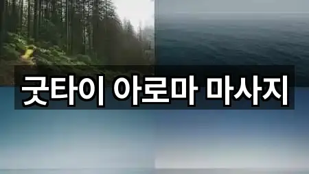 굿타이 아로마 마사지