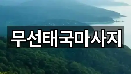 무선태국마사지