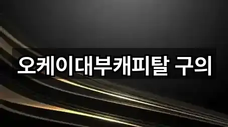 오케이대부캐피탈 구의