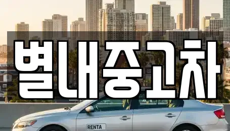 경기 남양주시 별내동 중고차 전문 별내중고차