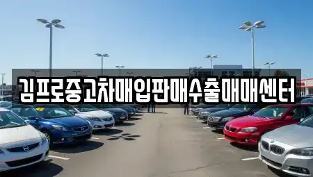 경기 남양주시 별내동 중고차매입 전문 김프로중고차매입판매수출매매센터