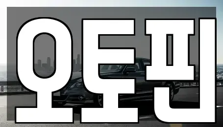 경기 하남시 선동 장기렌트카 전문 오토핀