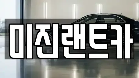 경기도 과천시 막계동 단기렌트카 전문 미진랜트카