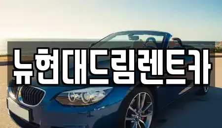 경기도 과천시 막계동 렌트카 전문 뉴현대드림렌트카