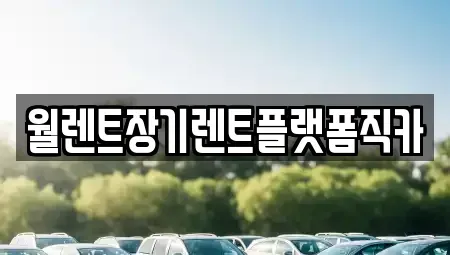 경기도 과천시 막계동 렌트카 전문 월렌트장기렌트플랫폼직카
