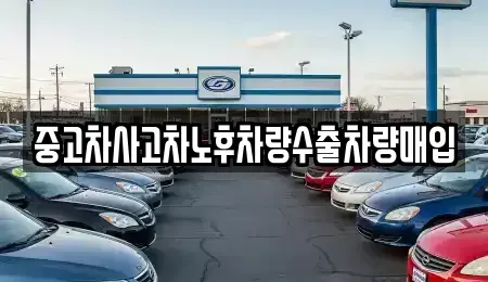 경기도 과천시 막계동 중고차매입 전문 중고차사고차노후차량수출차량매입