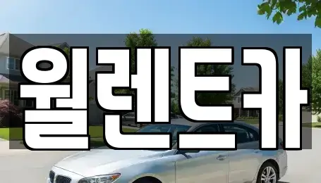 경기도 과천시 별양동 렌트카 전문 월렌트카