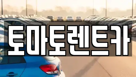 경기도 과천시 별양동 렌트카 전문 토마토렌트카