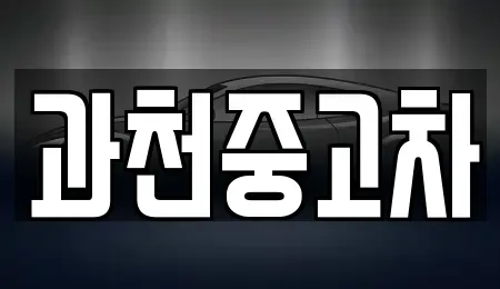 경기도 과천시 별양동 중고차매매 전문 과천중고차