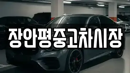 경기도 과천시 별양동 중고차매매 전문 장안평중고차시장