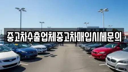 경기도 과천시 별양동 중고차매매 전문 중고차수출업체중고차매입시세문의