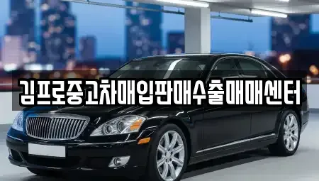 경기도 과천시 별양동 중고차매입 전문 김프로중고차매입판매수출매매센터