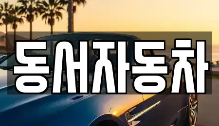 경남 창원시 성산구 사파동 중고차 전문 동서자동차