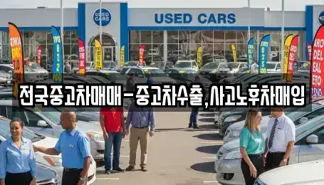 경남 창원시 성산구 사파동 중고차 전문 전국중고차매매-중고차수출,사고노후차매입