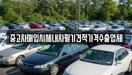 경남 창원시 성산구 사파동 중고차매입 전문 중고차매입시세내차팔기견적가격수출업체