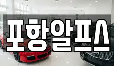 경상북도 상주시 복룡동 렌트카 전문 포항알프스