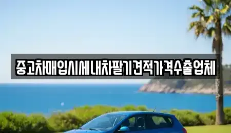 경상북도 상주시 복룡동 중고차매입 전문 중고차매입시세내차팔기견적가격수출업체
