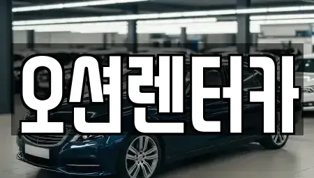 광주광역시 북구 임동 장기렌트카 전문 오션렌터카