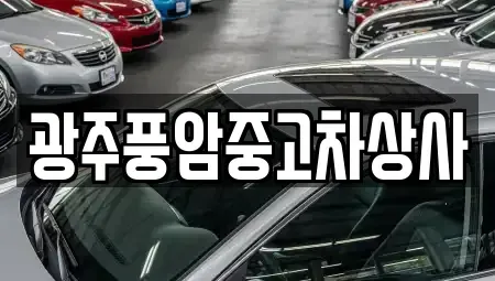광주광역시 북구 임동 중고차매매 전문 광주풍암중고차상사