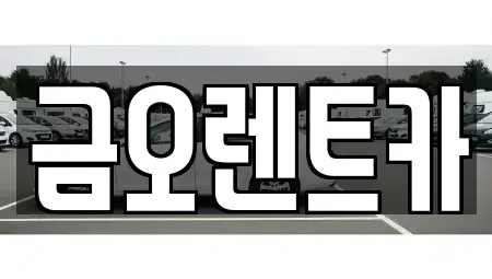 대구 중구 서성로1가 렌트카 전문 금오렌트카