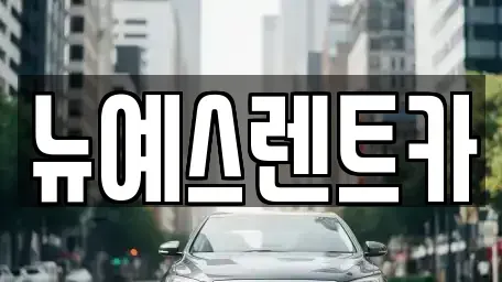 대구 중구 서성로1가 렌트카,단기렌트카,장기렌트카,중고차,중고차매매,중고차매입