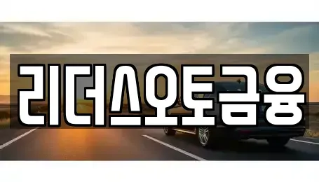 대구 중구 서성로1가 장기렌트카 전문 리더스오토금융