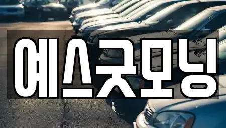 부산 남구 문현동 렌트카 전문 예스굿모닝