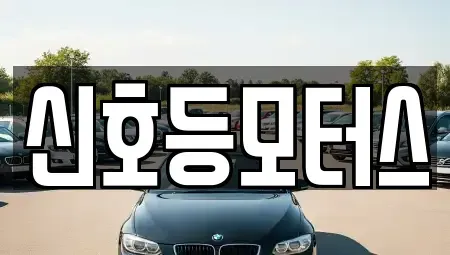 부산 남구 문현동 중고차 전문 신호등모터스