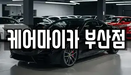 부산 남구 문현동 중고차 전문 케어마이카 부산점