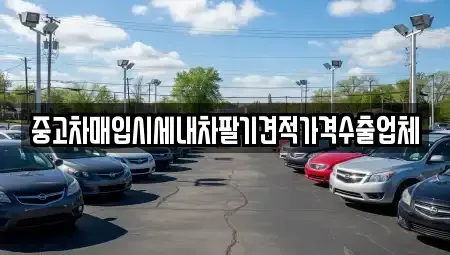 부산 남구 문현동 중고차매입 전문 중고차매입시세내차팔기견적가격수출업체