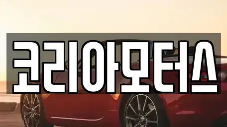 부산광역시 서구 남부민동 중고차 전문 코리아모터스