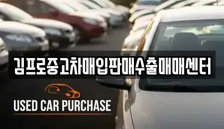 부산광역시 서구 남부민동 중고차매입 전문 김프로중고차매입판매수출매매센터