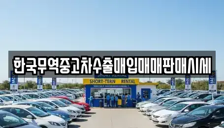 부산광역시 서구 남부민동 중고차매입 전문 한국무역중고차수출매입매매판매시세