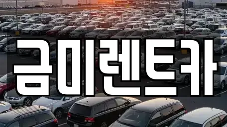 서울 종로구 행촌동 렌트카 전문 금미렌트카
