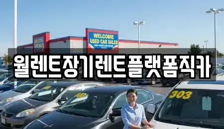 서울 종로구 행촌동 렌트카 전문 월렌트장기렌트플랫폼직카