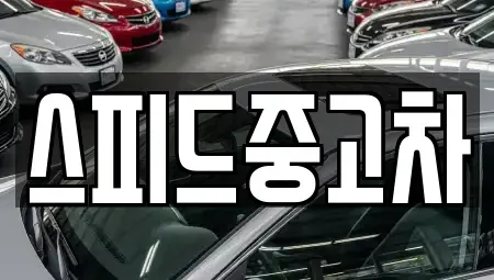 서울 종로구 행촌동 중고차매매 전문 스피드중고차