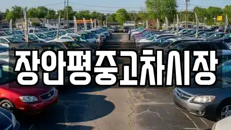 서울 종로구 행촌동 중고차매매 전문 장안평중고차시장